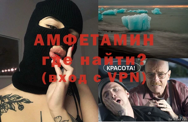 винт Ельня