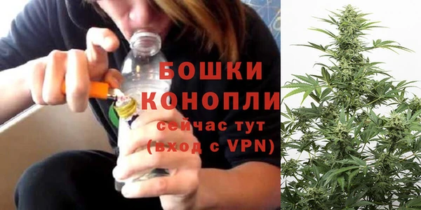 винт Ельня