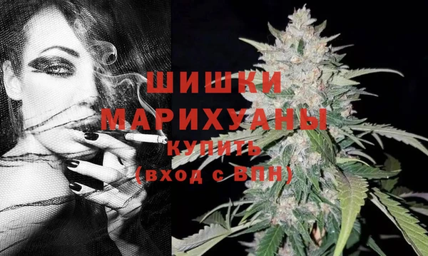 винт Ельня