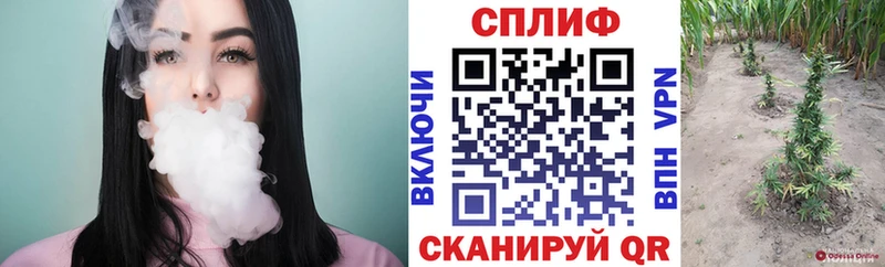 Шишки марихуана семена  Купить где  Мещовск 